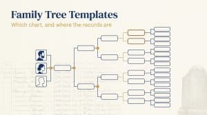 Family tree template chart with generational branches in navy and amber on an ivory background
